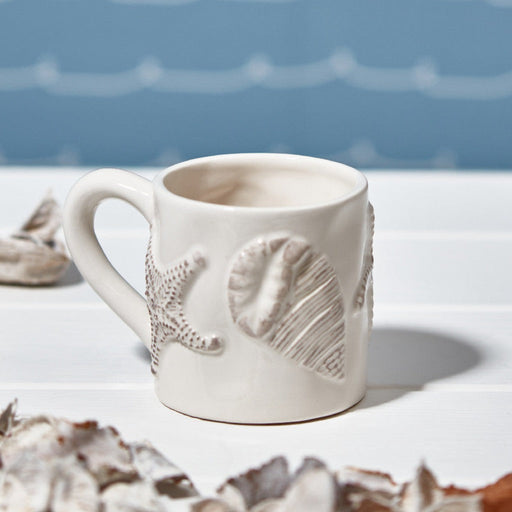 Buy Seashells, Starfish & Coastal Decor • Sage, Rocks & Crystals •  California Seashell Co